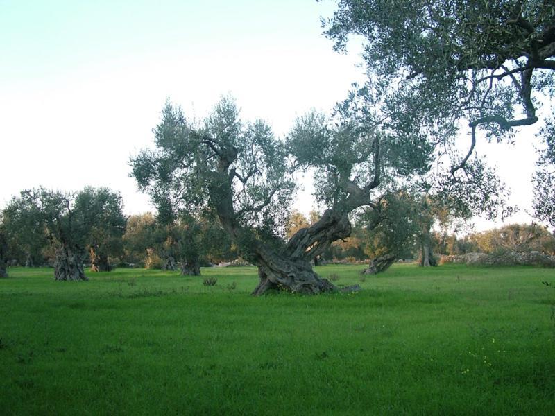 Albergo Del Santuario Santa Maria di Leuca エクステリア 写真